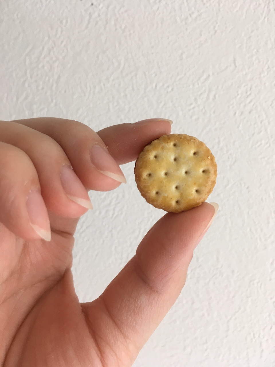 コーヒーのお供に ミニココアクリームサンドビスケット How S 株式会社ハウズ ポータルサイト コーヒーのお供に ミニココアクリームサンドビスケット How S 株式会社ハウズ ポータルサイト