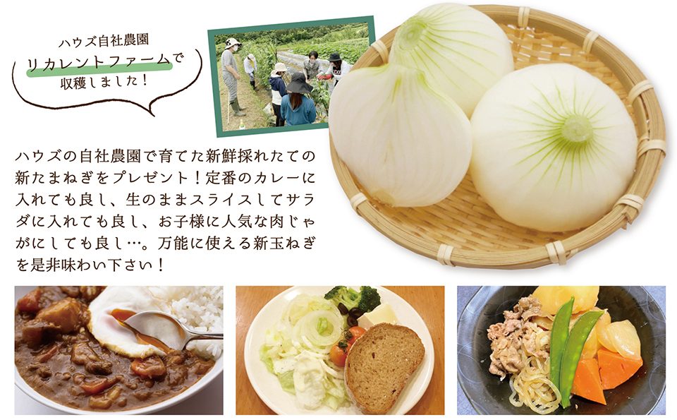 5月21日 土 ハウズ伊都店限定 新玉ねぎ料理教室 開催 ご予約受付中 How S 株式会社ハウズ ポータルサイト
