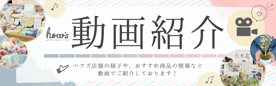 動画紹介