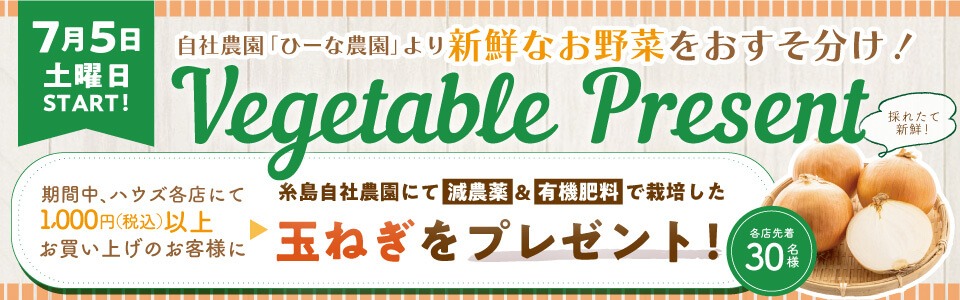 ベジタブルプレゼント