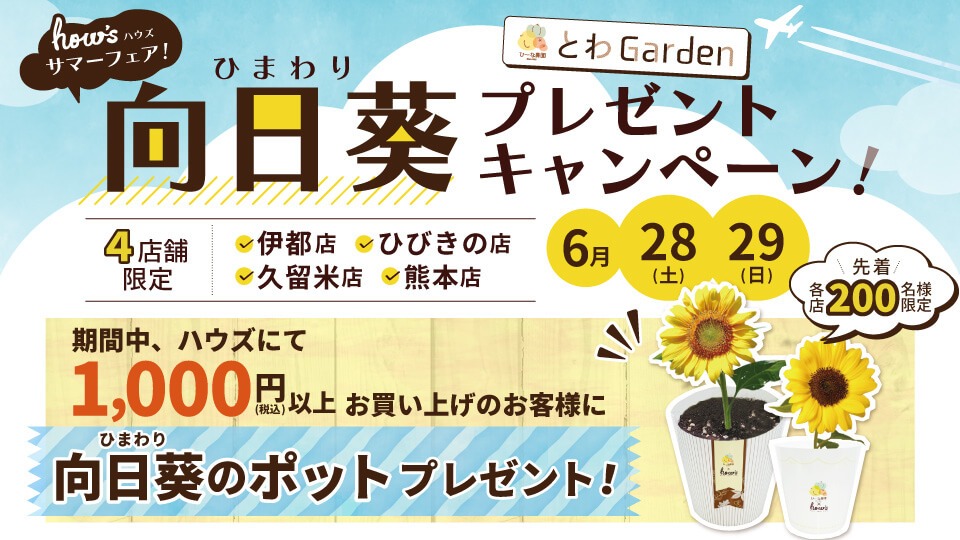 ひまわりプレゼント