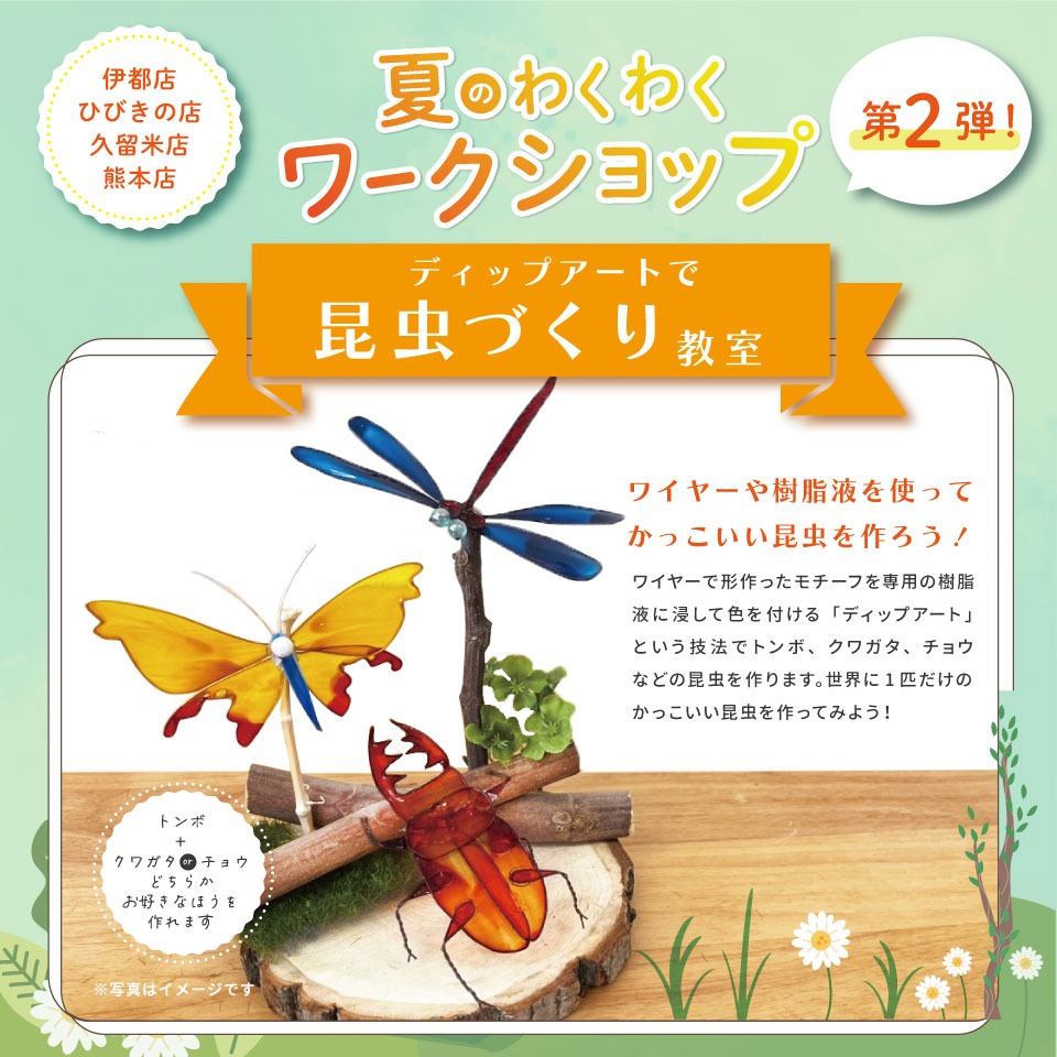 昆虫づくり