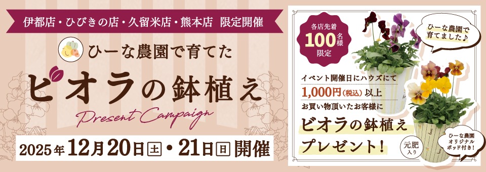 お花プレゼント