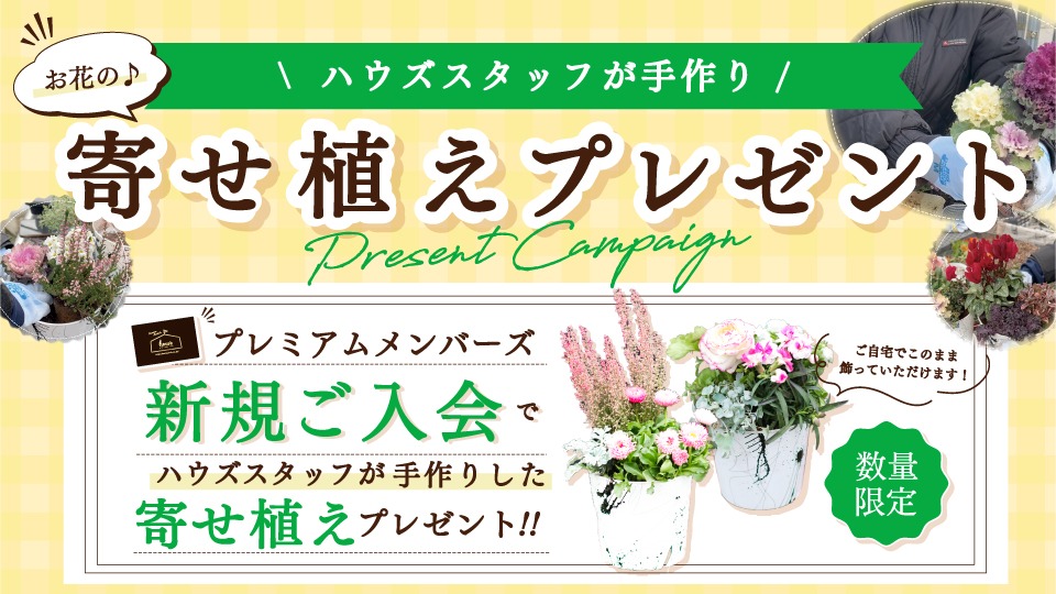 お花プレゼント