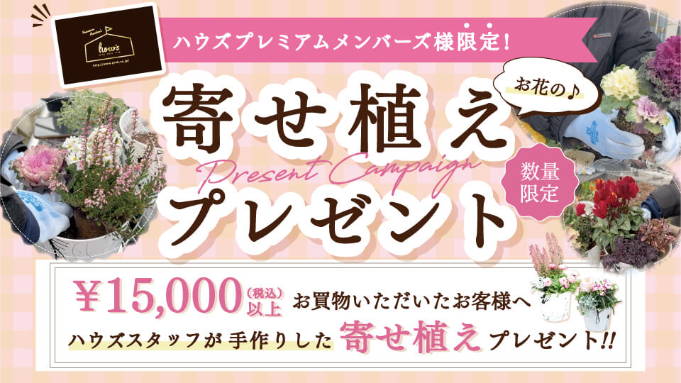 寄せ植えプレゼント